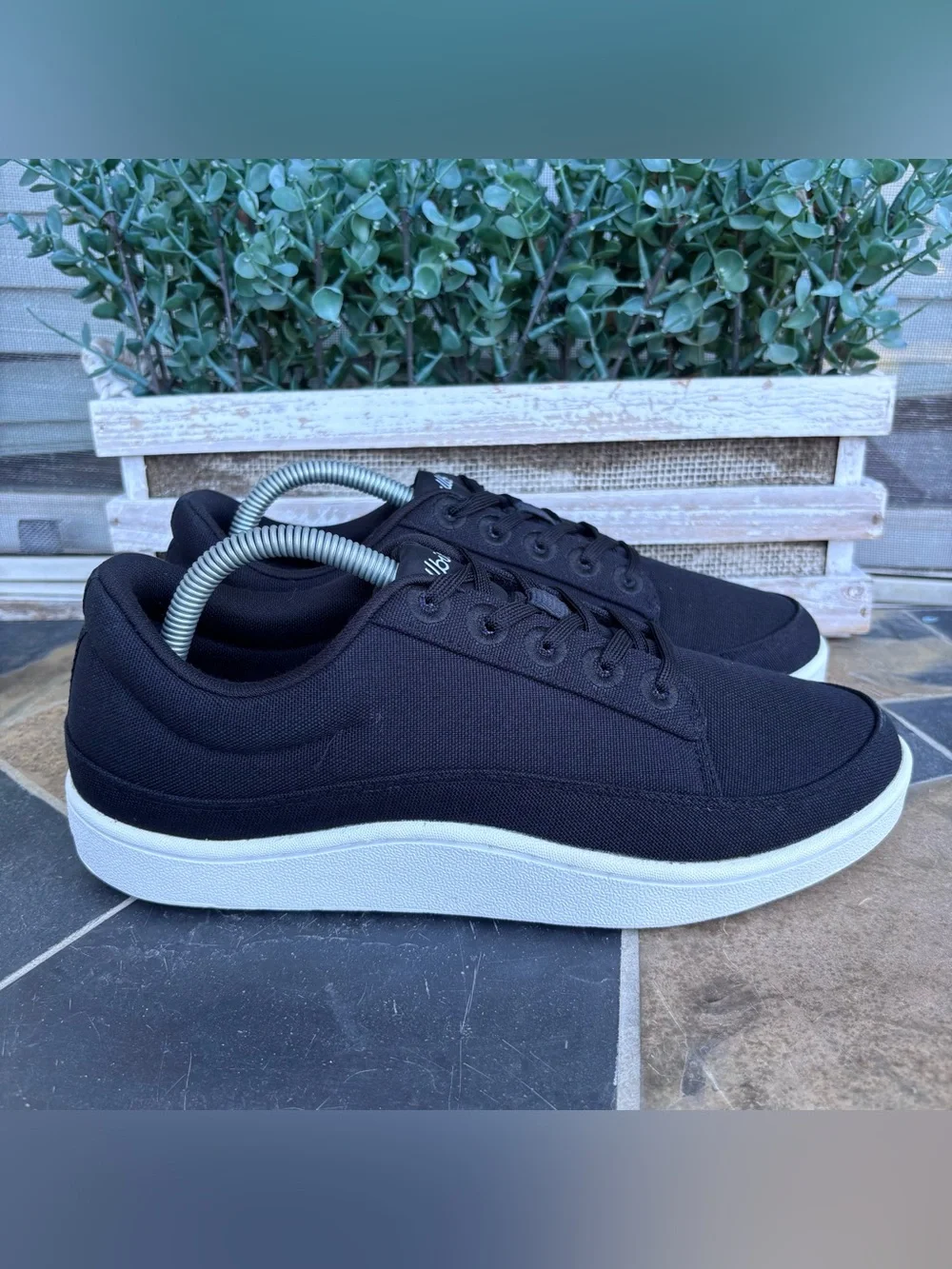 Allbirds Canvas Pacer Sneakers in Black